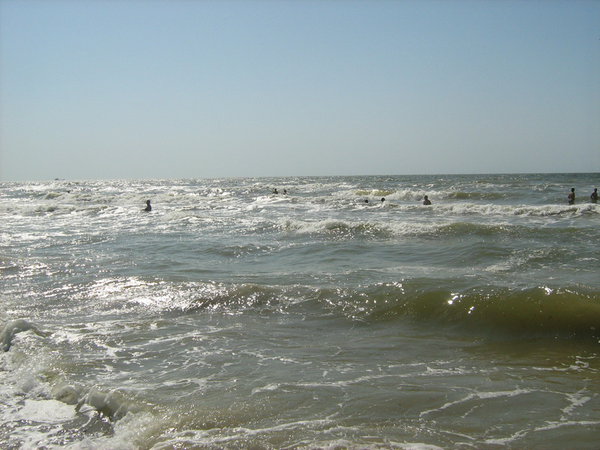 IMG_4116_новый размер.JPG (183.44 KiB) Просмотров: 7520 IMG_4116_новый размер.JPG