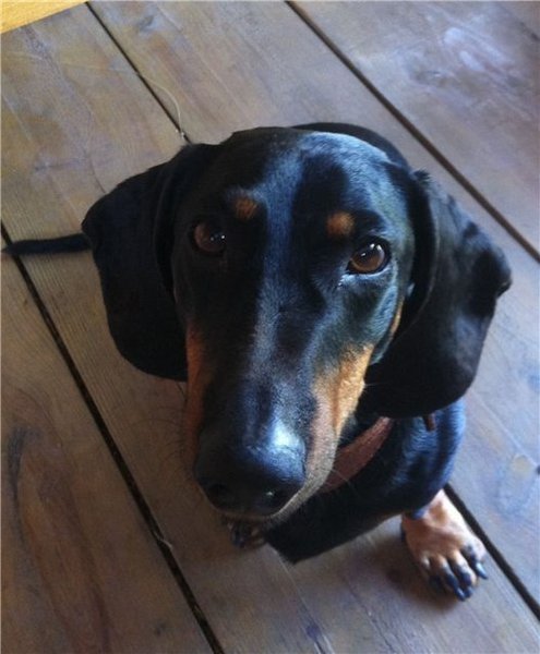 9BPxF6Npya0.jpg (53.8 KiB) Просмотров: 1518 9BPxF6Npya0.jpg