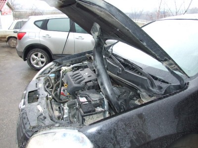 цуцики 028.jpg (117.02 KiB) Просмотров: 8686 цуцики 028.jpg