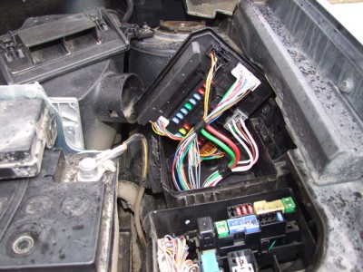 цуцики 023.jpg (115.22 KiB) Просмотров: 3894 цуцики 023.jpg