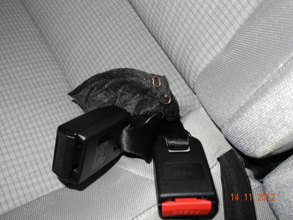 DSCN8258.jpg (4.38 MiB) Просмотров: 1572 DSCN8258.jpg