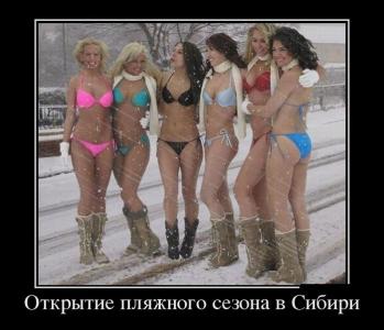 post-26497-.jpg