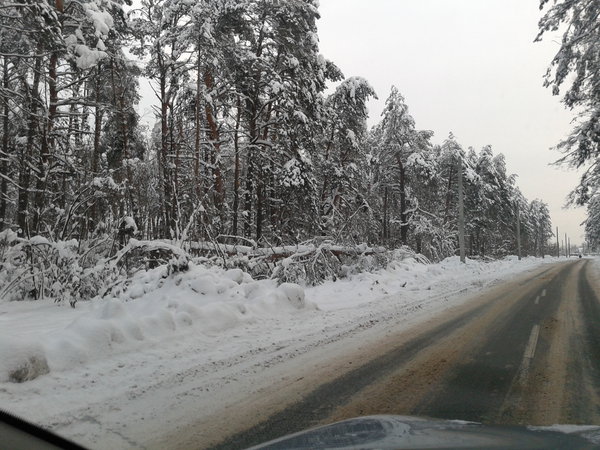 2012-12-23 08.48.45.jpg (1.91 MiB) Просмотров: 1652 2012-12-23 08.48.45.jpg