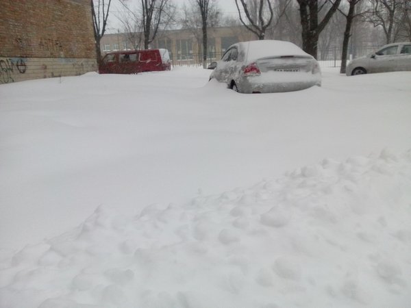 tn_IMG_20130323_065855.jpg