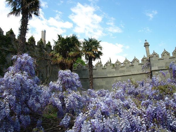 P5042466.JPG (2.26 MiB) Просмотров: 2464 P5042466.JPG