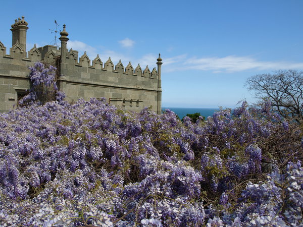 P5042469.JPG (2.13 MiB) Просмотров: 2464 P5042469.JPG