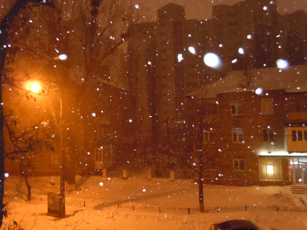 DSCN2248.JPG (1.55 MiB) Просмотров: 1601 DSCN2248.JPG