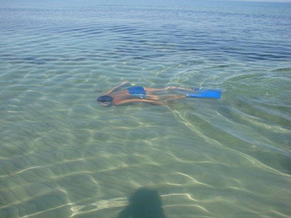 image.jpg (88.22 KiB) Просмотров: 2595 image.jpg