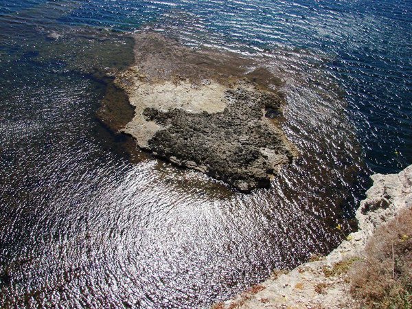 image.jpg (360.69 KiB) Просмотров: 2595 image.jpg