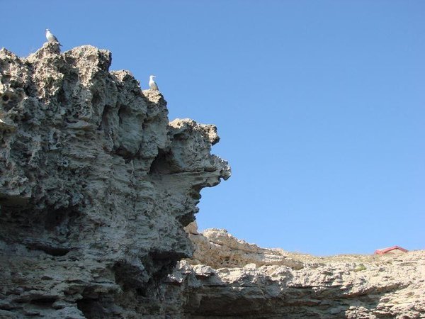 image.jpg (118.17 KiB) Просмотров: 2590 image.jpg