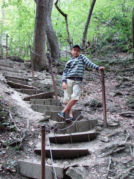 image.jpg (323.34 KiB) Просмотров: 2590 image.jpg