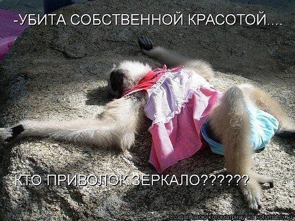 Красота.jpg