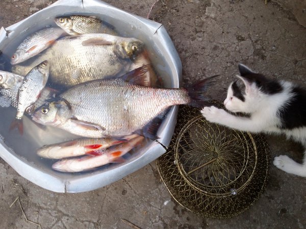 2013-05-12-0032 - копия.jpg