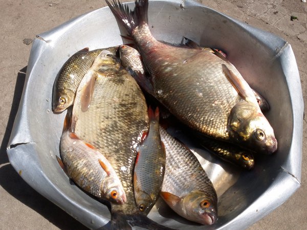 2013-05-12-0025 - копия.jpg