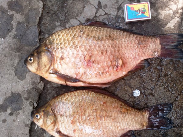 2013-05-25-0034 - копия.jpg