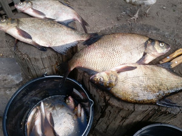 2013-06-09-0042 - копия.jpg