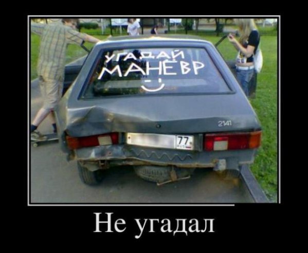 post_65137.jpg