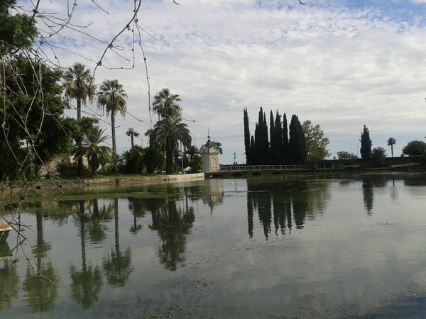 20130908_143922 - копия.jpg