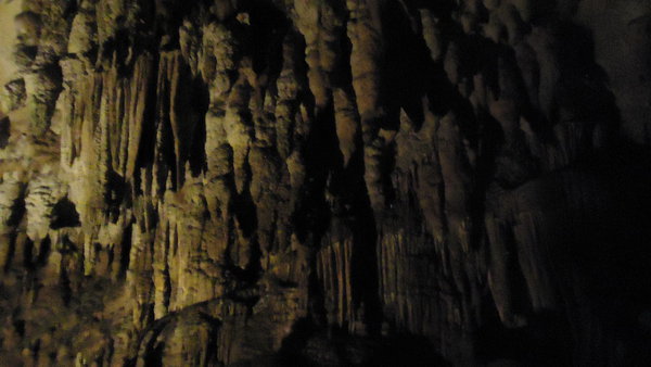 DSC04217_новый размер.JPG