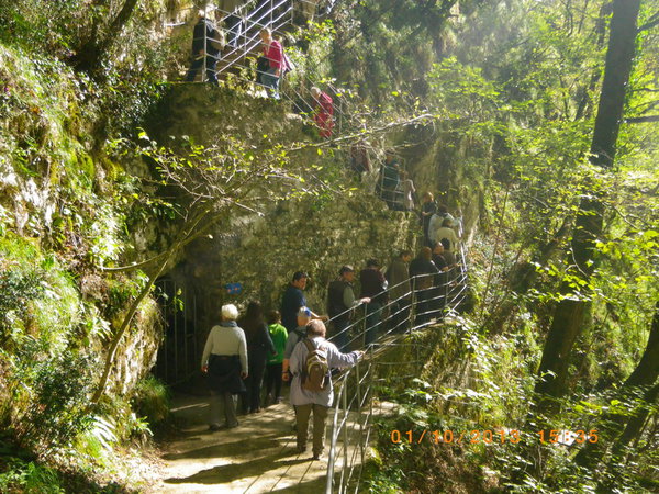 IMGP0685_новый размер.JPG