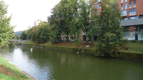 DSC04271_новый размер.JPG