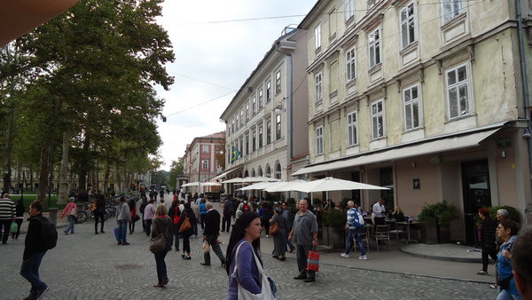 DSC04289_новый размер.JPG