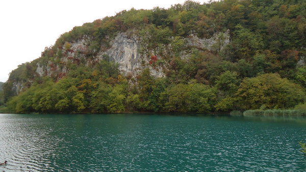 DSC04318_новый размер.JPG