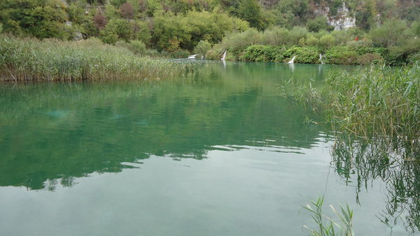 DSC04325_новый размер.JPG