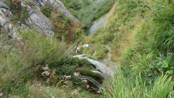 DSC04328_новый размер.JPG