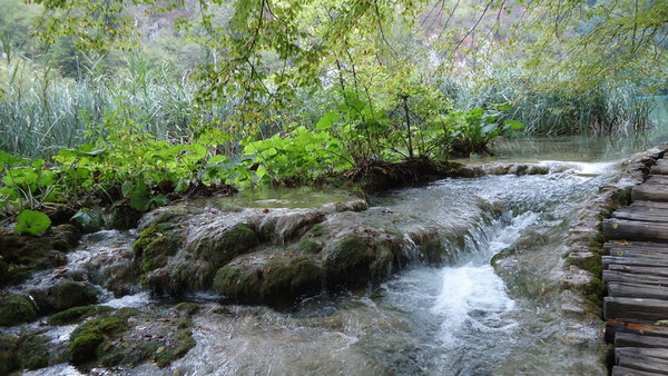 DSC04342_новый размер.JPG