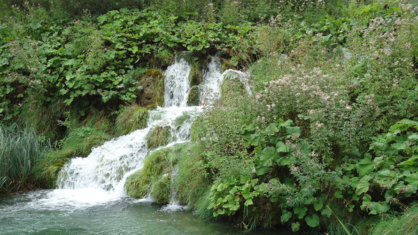 DSC04346_новый размер.JPG