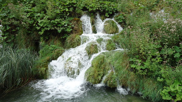 DSC04347_новый размер.JPG