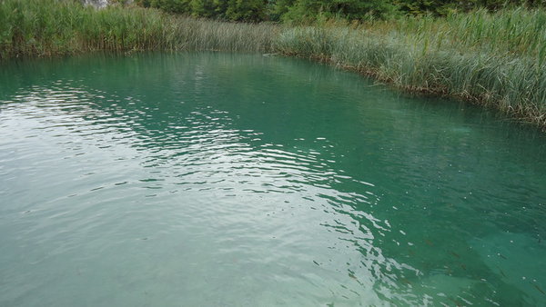 DSC04350_новый размер.JPG