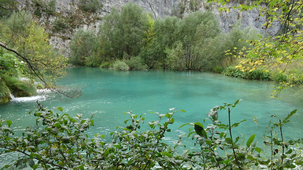 DSC04359_новый размер.JPG