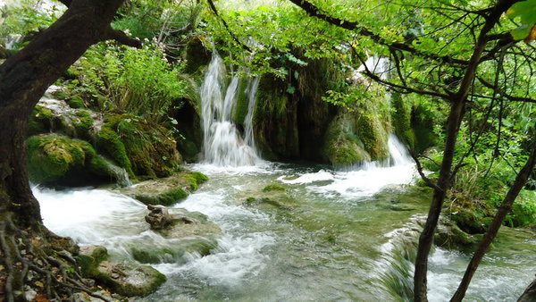 DSC04369_новый размер.JPG