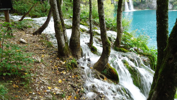 DSC04381_новый размер.JPG