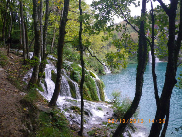 IMGP0735_новый размер.JPG