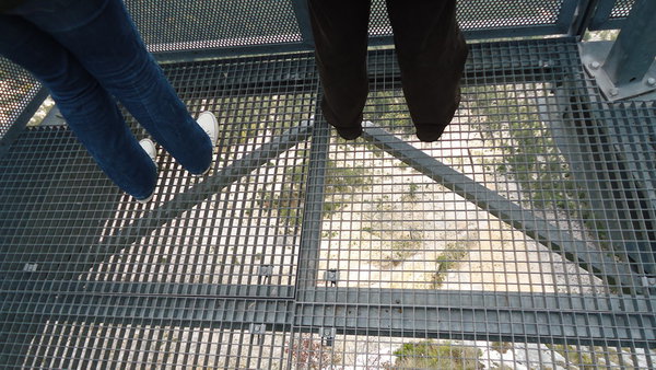 DSC04495_новый размер.JPG (216.28 KiB) Просмотров: 2497 DSC04495_новый размер.JPG