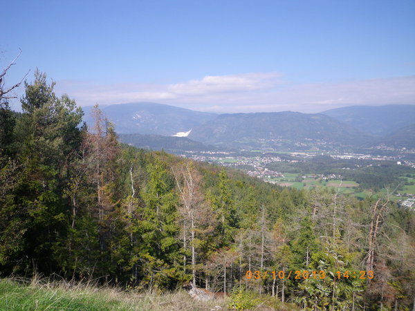 IMGP0755_новый размер.JPG