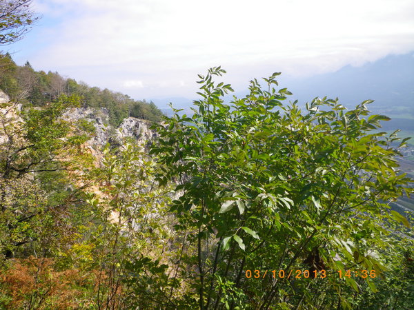 IMGP0766_новый размер.JPG