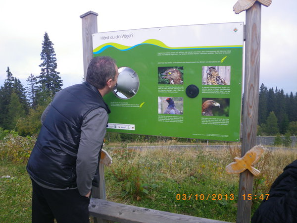 IMGP0792_новый размер.JPG