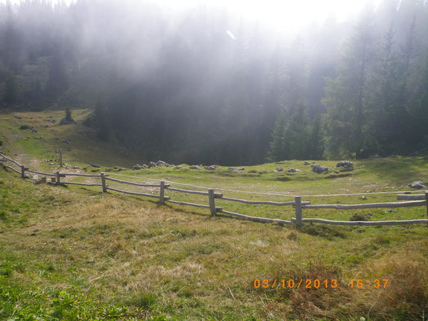 IMGP0801_новый размер.JPG