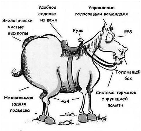 gR1Cfa99IuQ.jpg