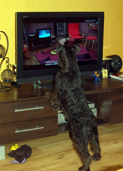 watching TV.jpg