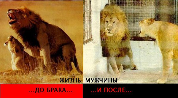 menslife.jpg (64.65 KiB) Просмотров: 2180 menslife.jpg