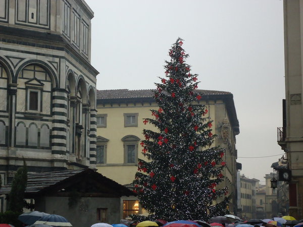 DSC04858_новый размер.JPG (182.46 KiB) Просмотров: 4331 DSC04858_новый размер.JPG