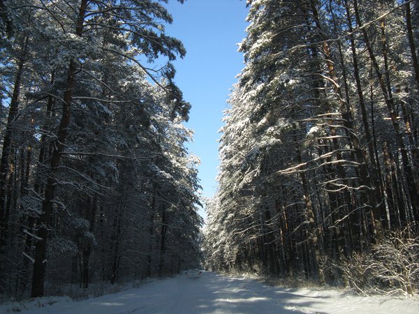 IMG_4243.jpg
