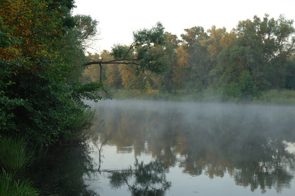 DSC_1046.jpg
