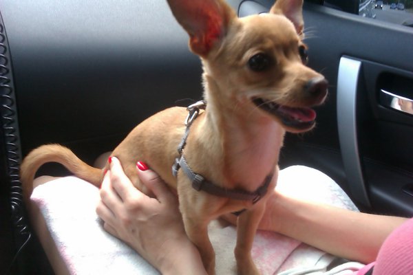 IMAG0250.jpg (466.34 KiB) Просмотров: 2991 IMAG0250.jpg