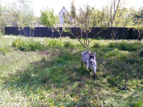 IMG_20140509_124448.jpg (1.15 MiB) Просмотров: 1544 IMG_20140509_124448.jpg